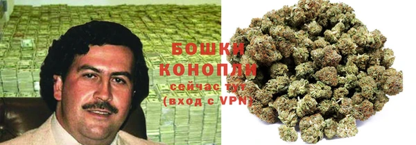 ПСИЛОЦИБИНОВЫЕ ГРИБЫ Балахна