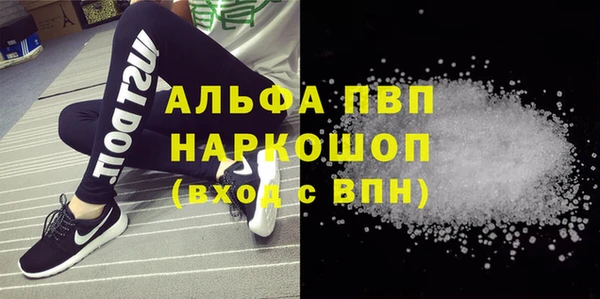 трава Белокуриха